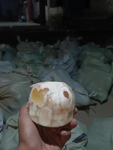@poetra akbar