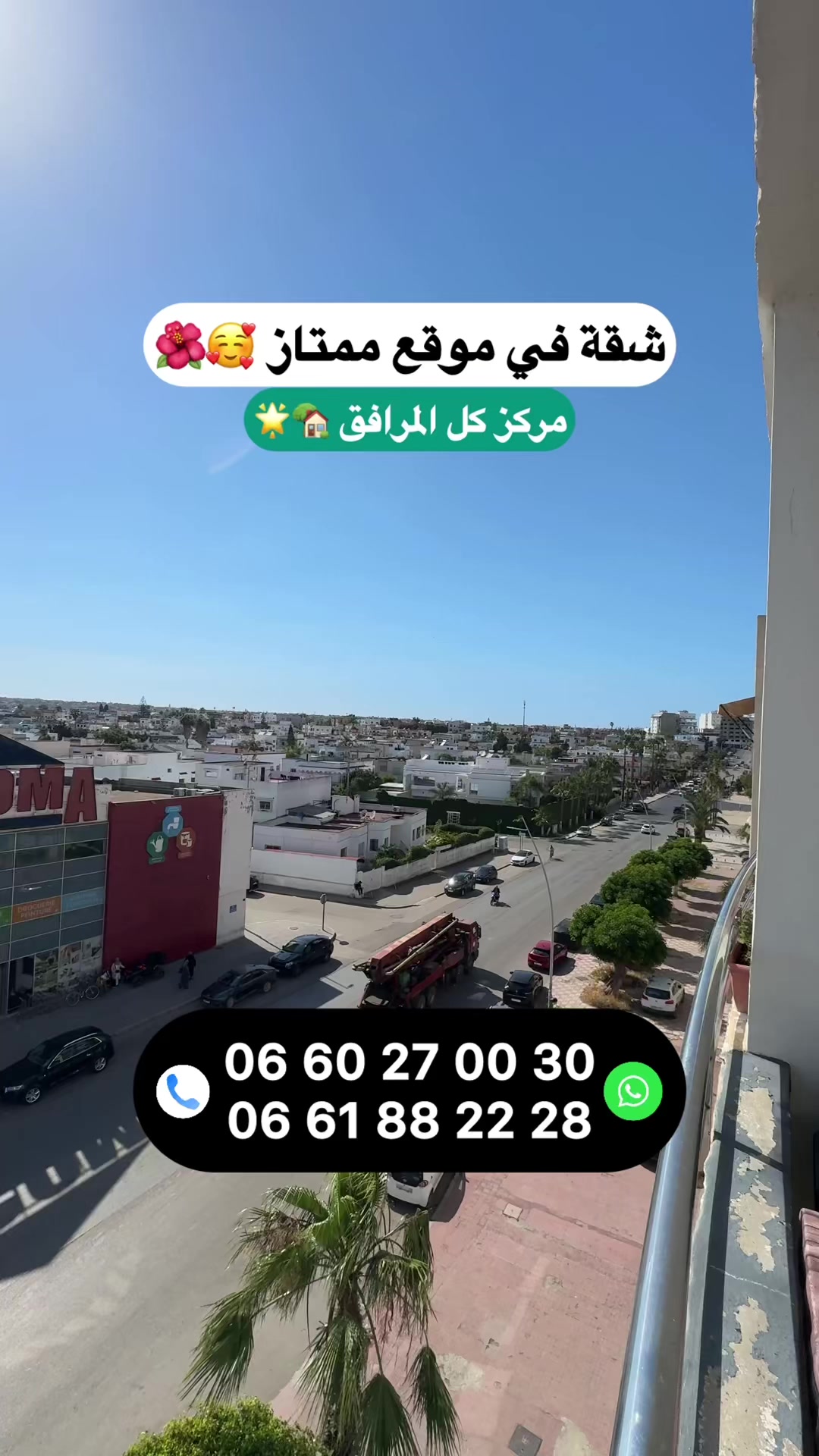 @Zakaria Haddad 🇲🇦🇵🇸