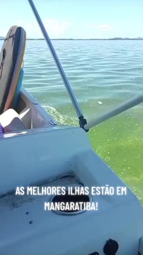 @viajante do tiktok