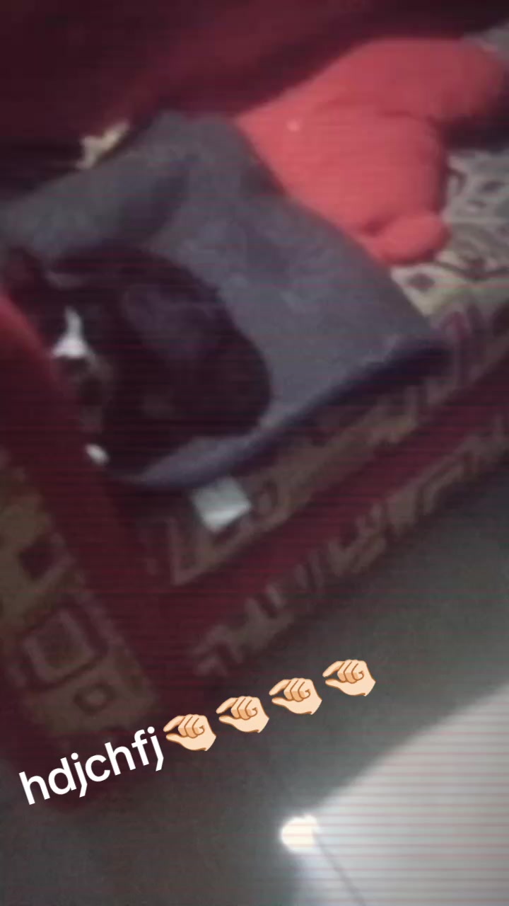 @💞Noenoen💞