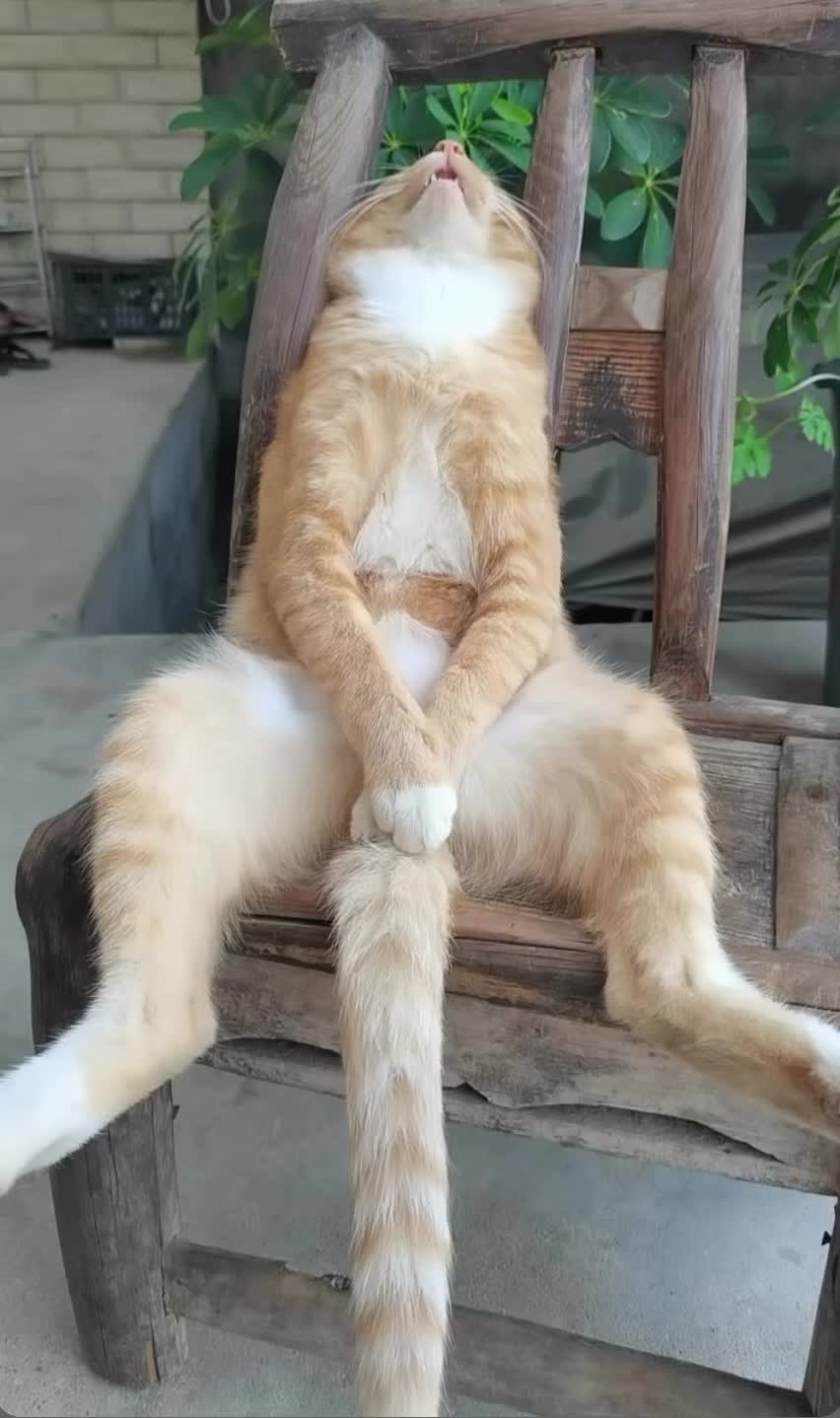 @Özlemcan