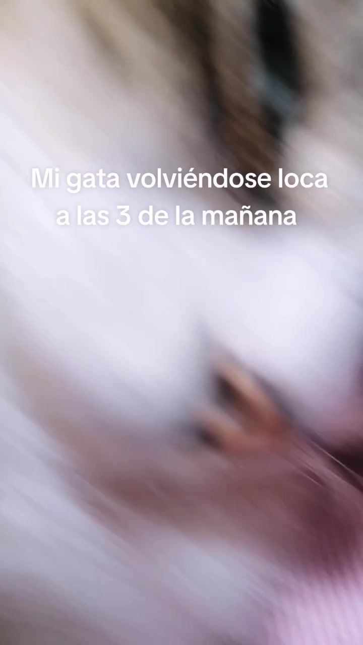 @GUZ