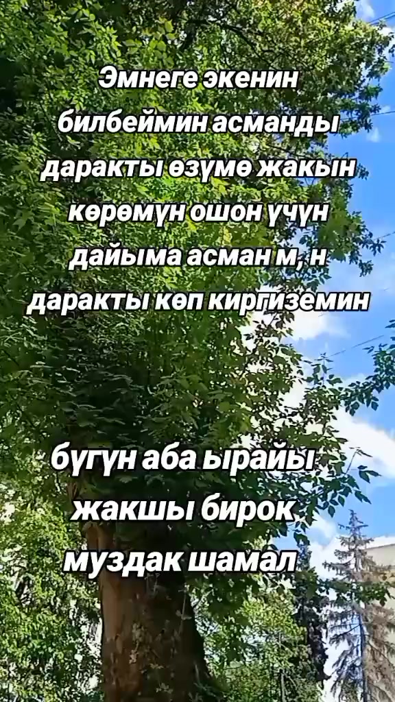 @BERMETIC