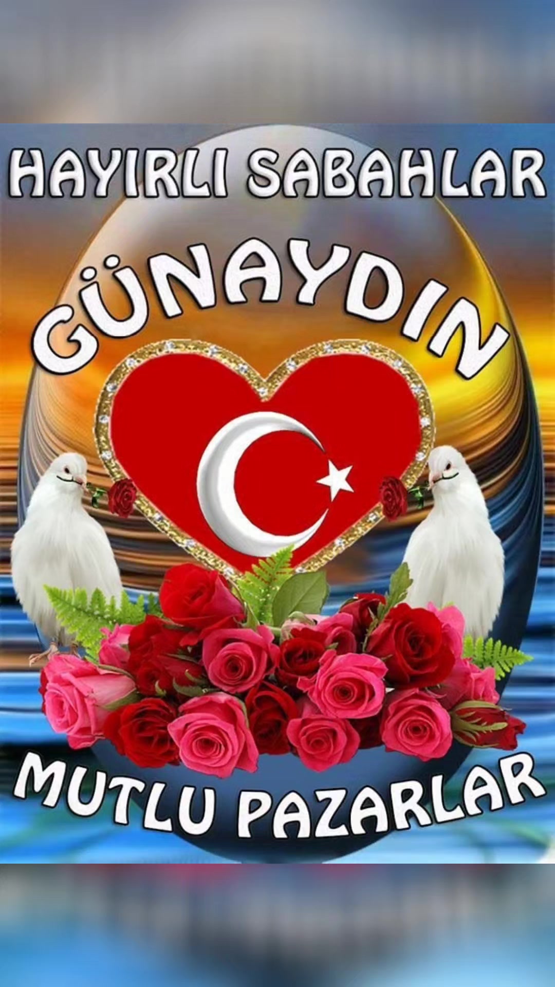 @🌹Hanife🌹