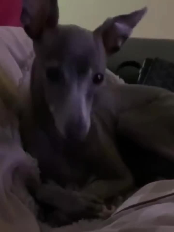 @(◍•ᴗ•◍)