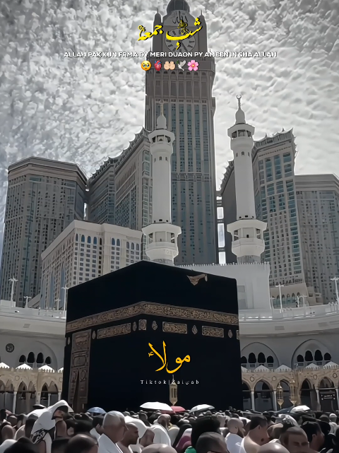 @𝐙𝐀𝐈ن𝐀𝐛ރ