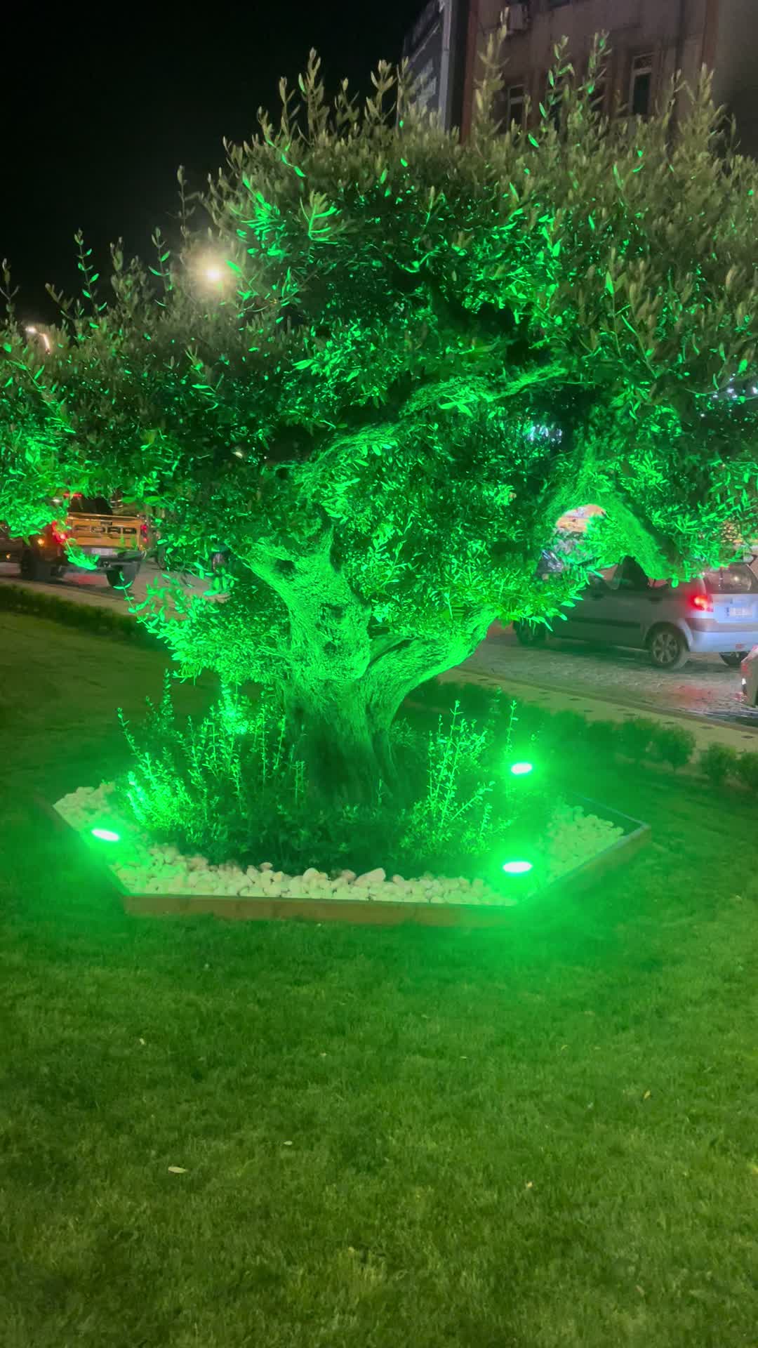 @Mustafa Yavuz AL ASEEL