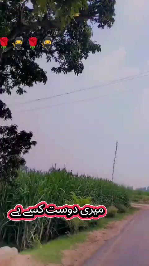 @حبدار علی ساہیوال الا