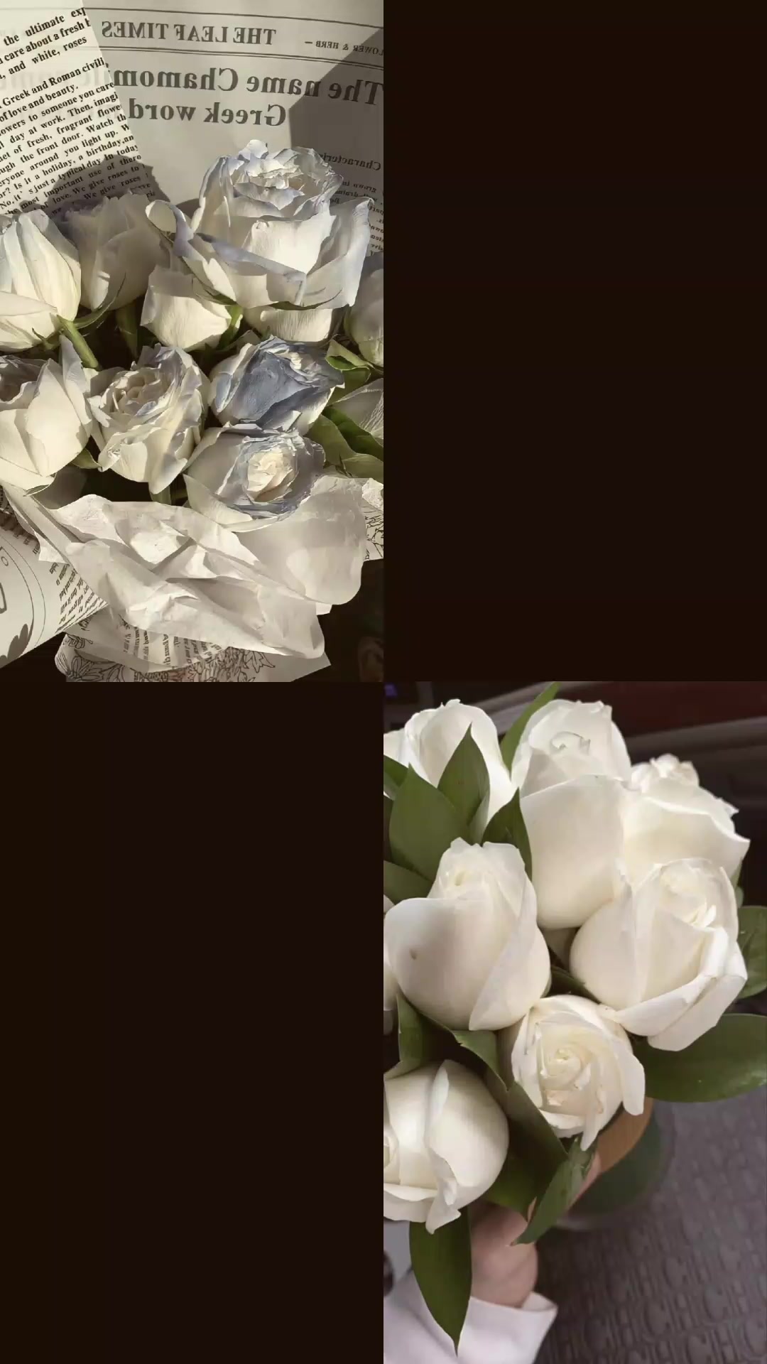 @Tolganai.92kz