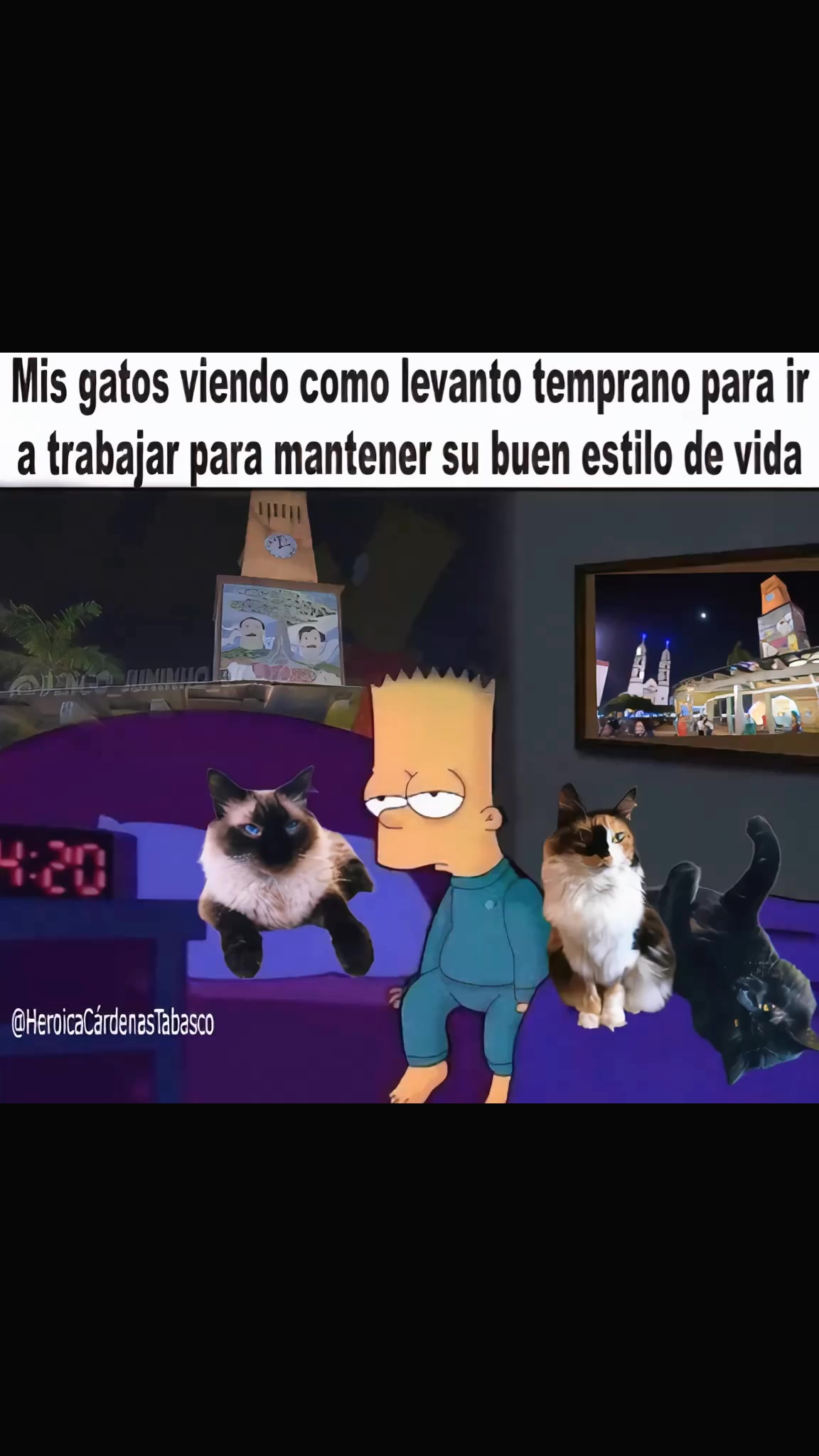 @Liliana Linares