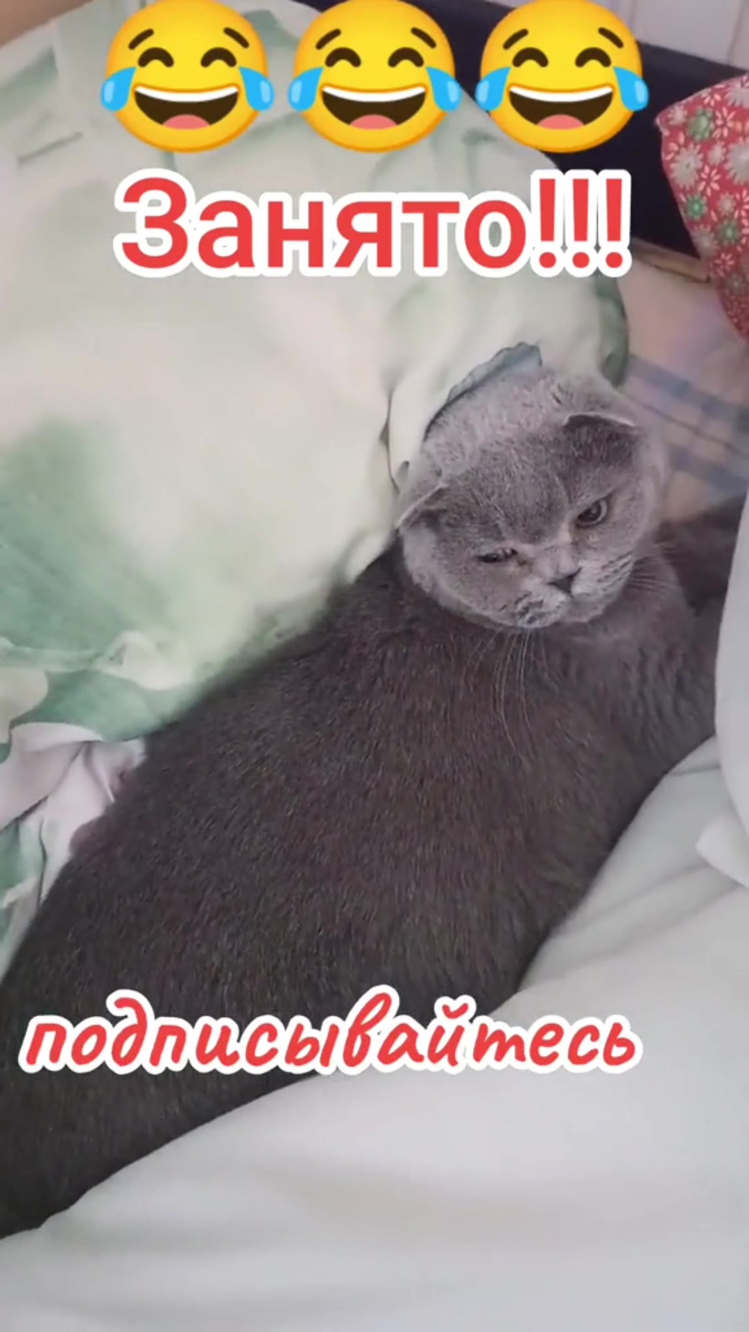 @Варибрус777