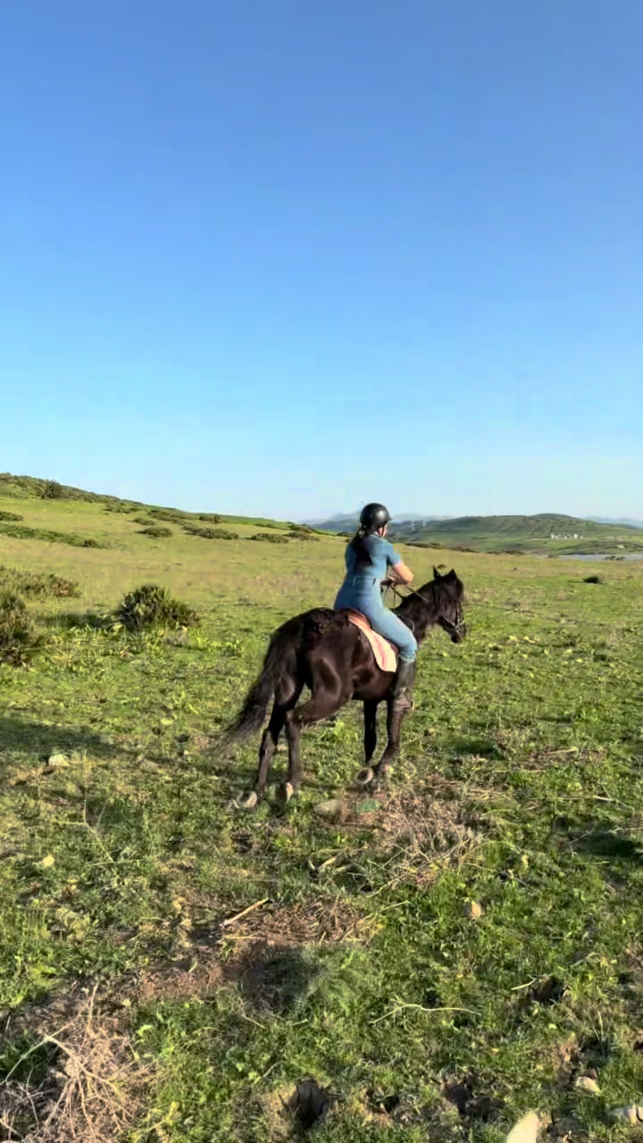 @Zineb Douas 🩷🐎🐎