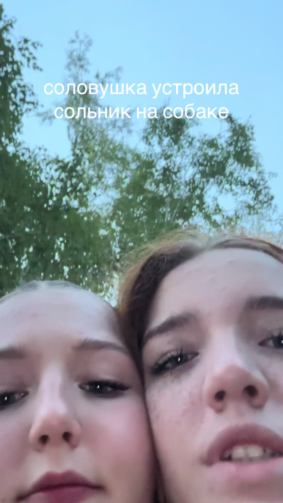@соловушка