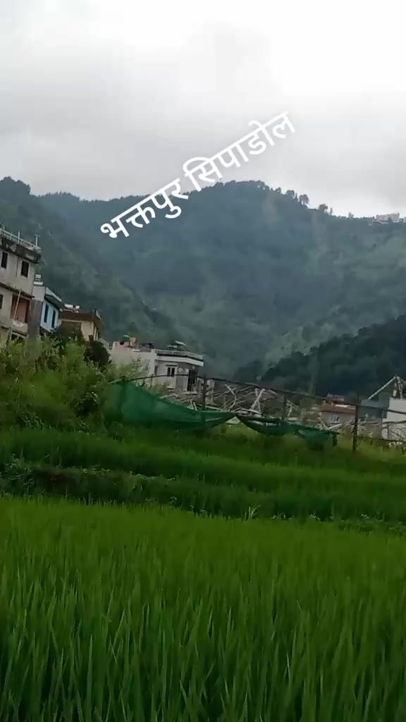 @Phanindra Khatri1
