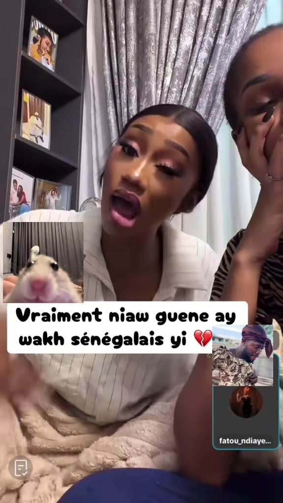@🌻🌜Linguére🌜D’éco🌛🌻