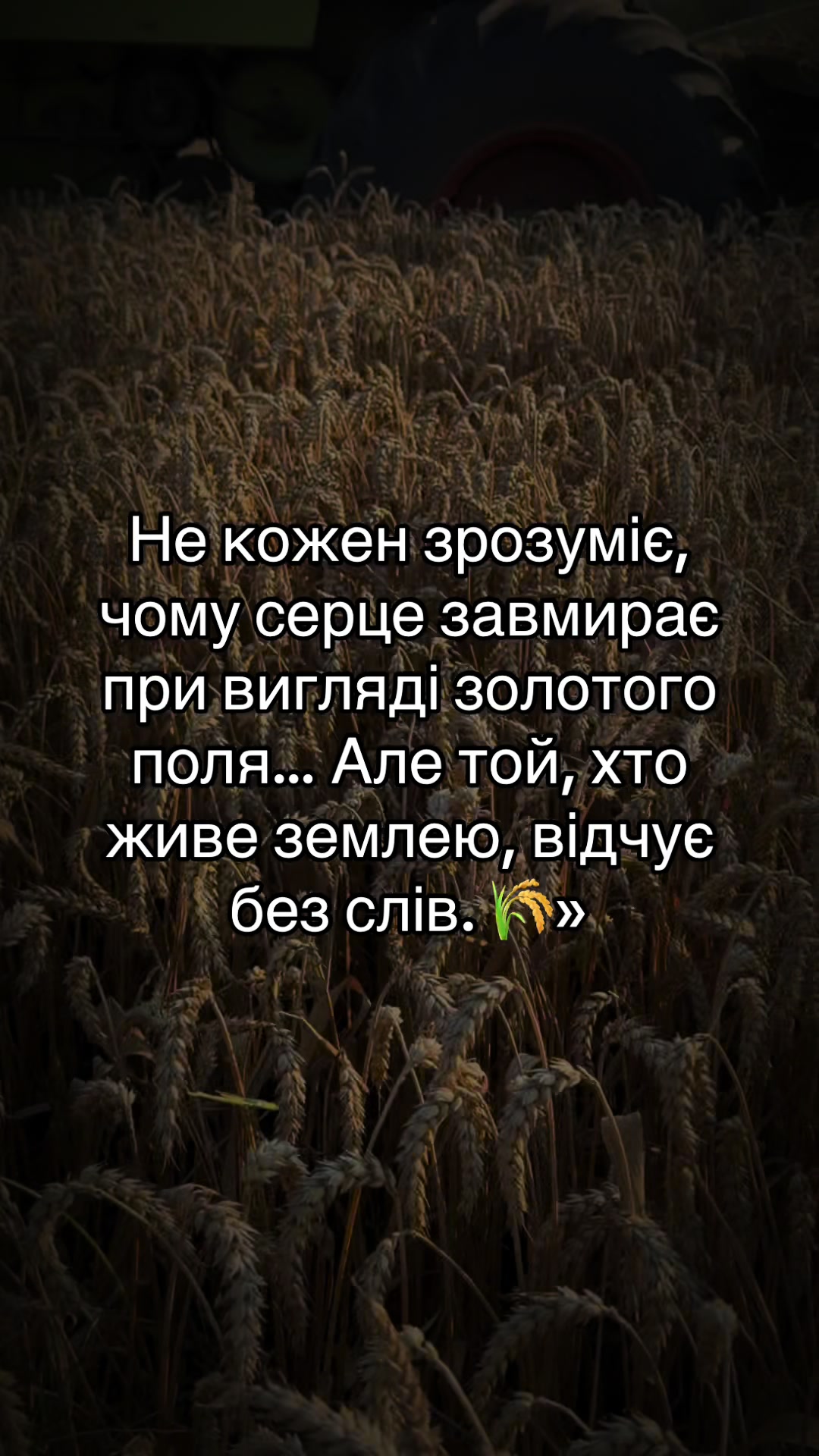 @🌾Diagri1996🌾
