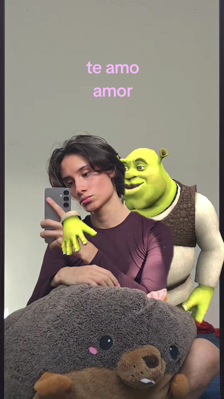 @felsito