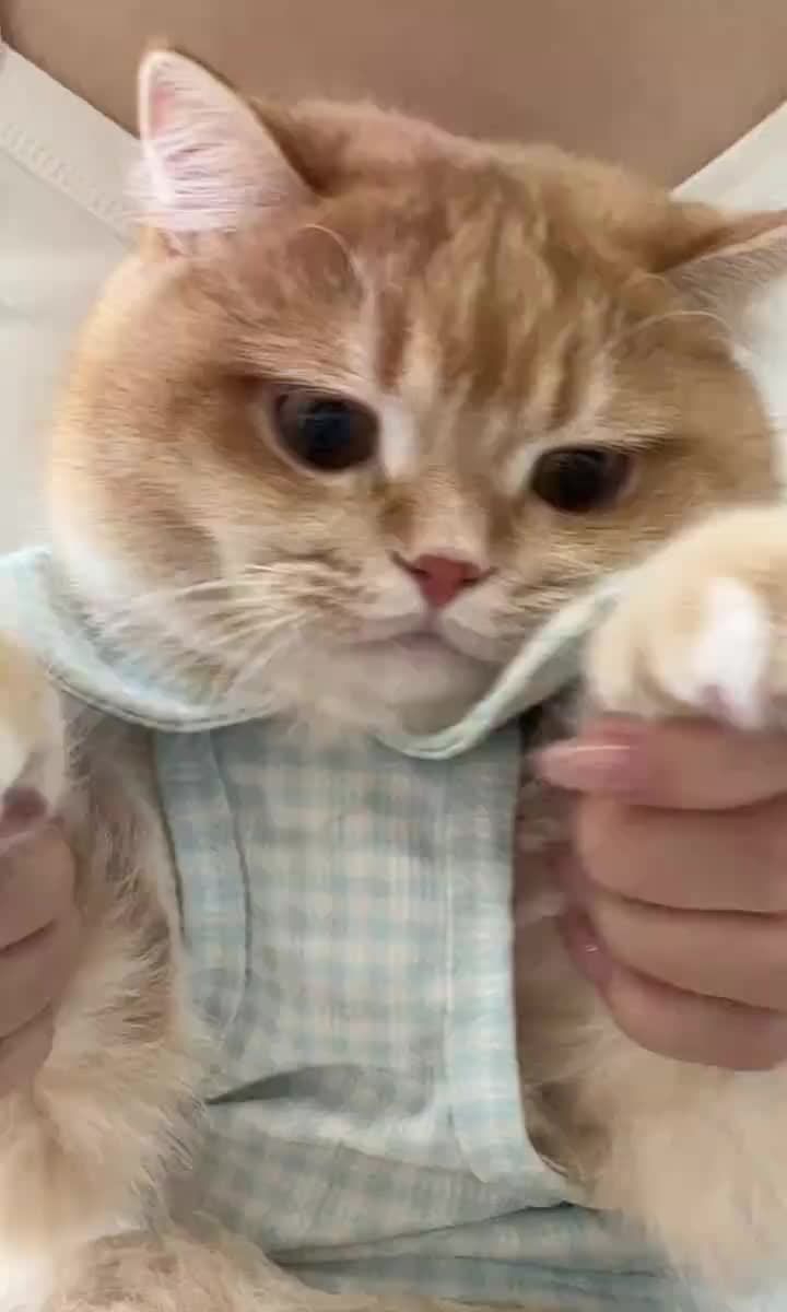 @jccsqzyd8831