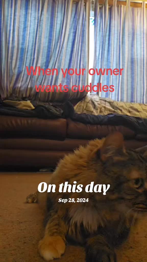 @Shadowninja🇨🇦