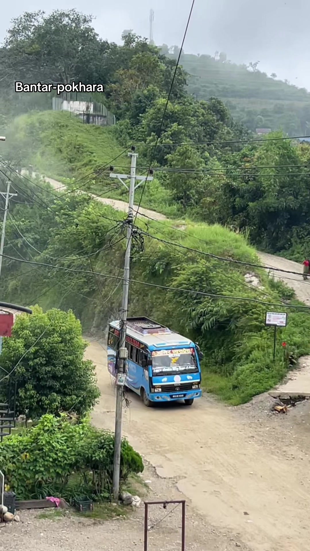 @bus.comoffical