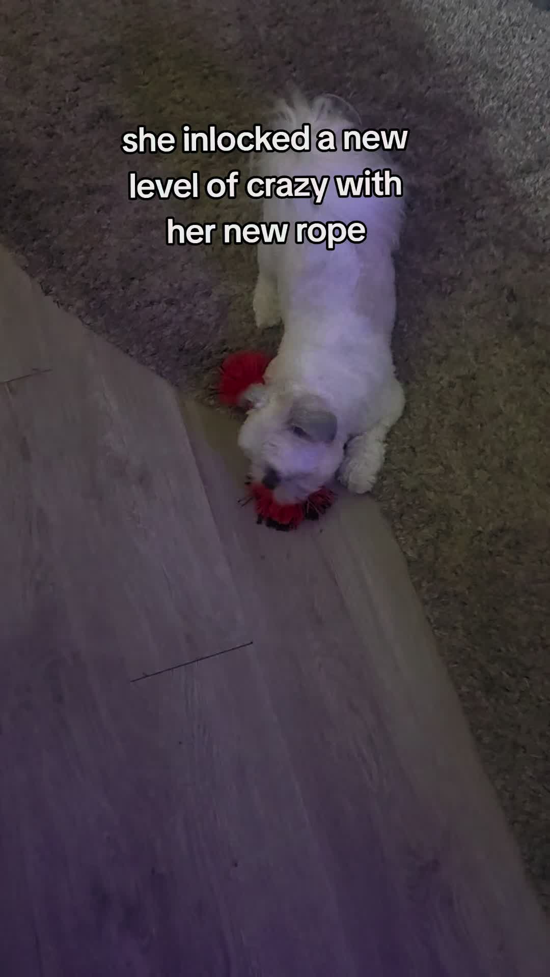 @Kara
