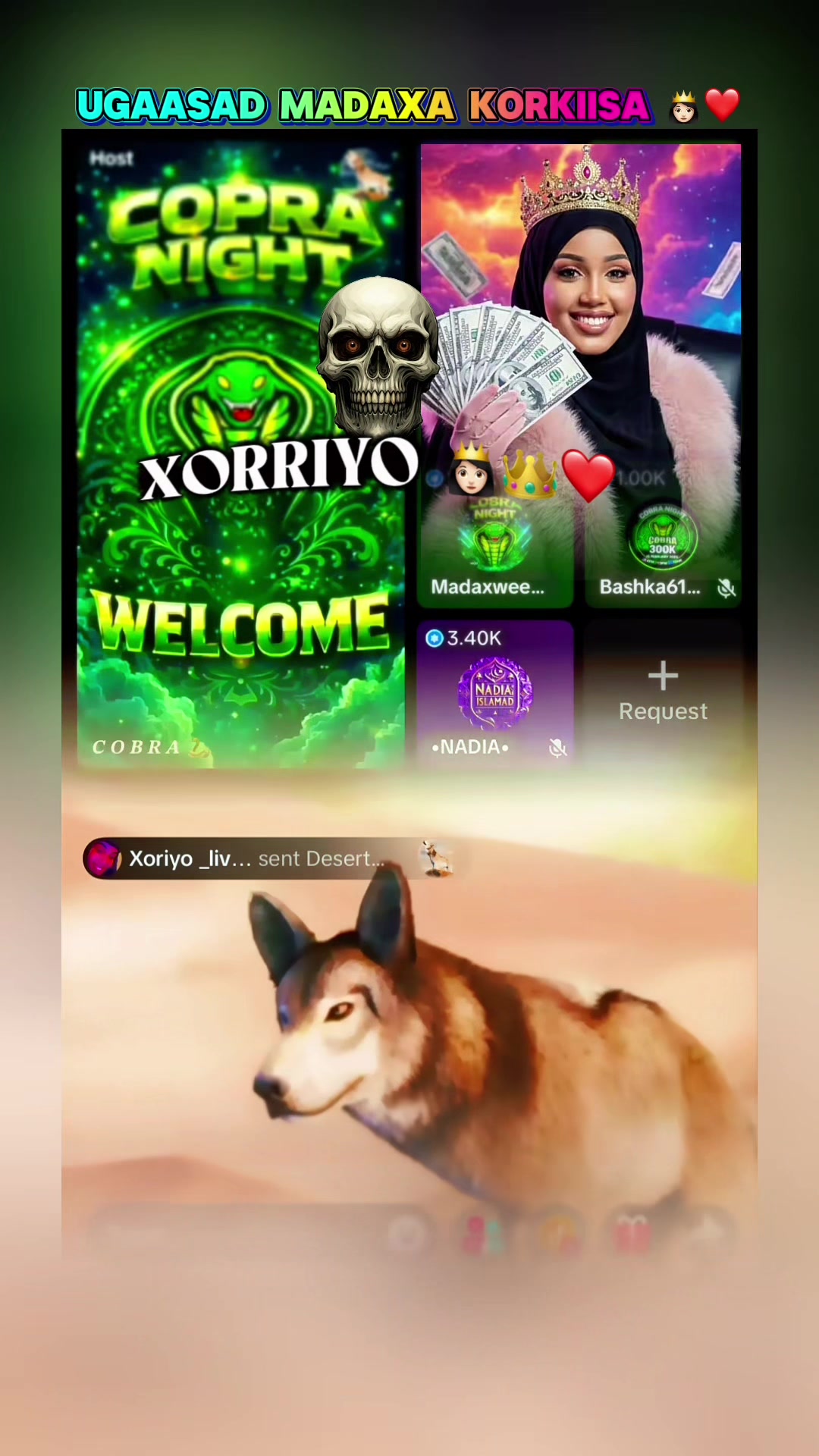 @๐ช ๐ถ ๐ฉ ๐น ๐จ๐๐