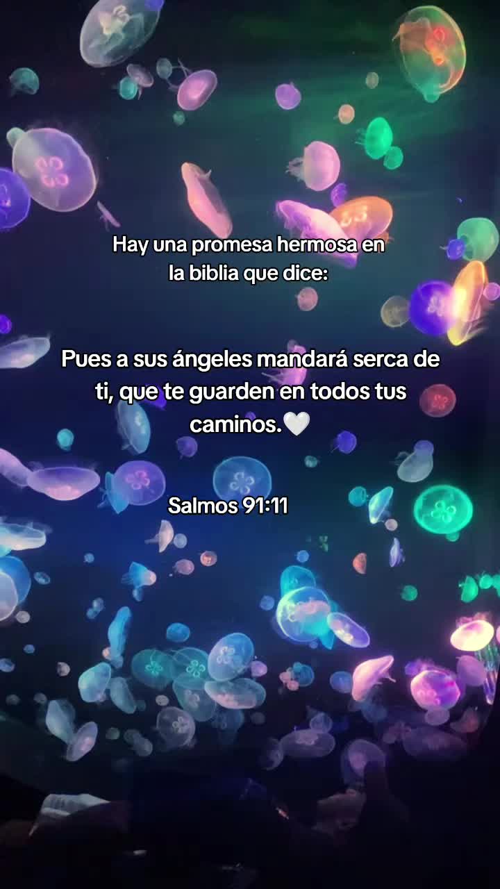 @Lis s