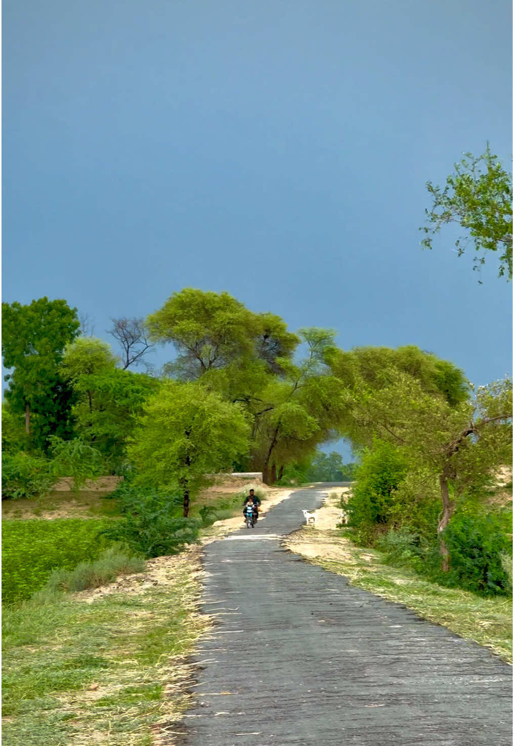 @احمد ہنجرا_بہاولنگر🥰