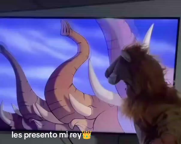 @Gustavo Marquez