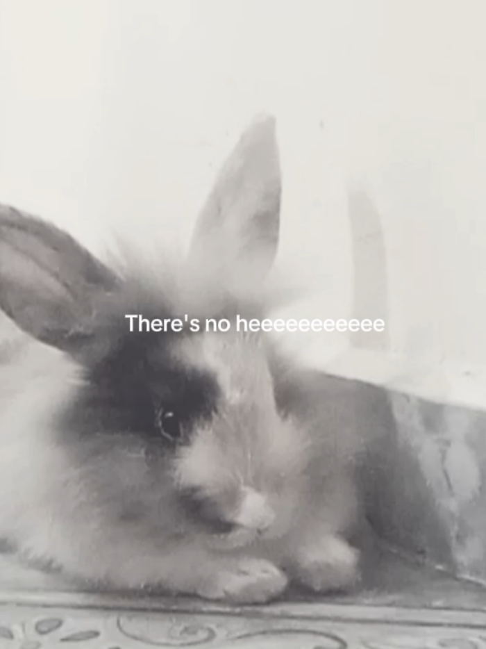 @ℋ