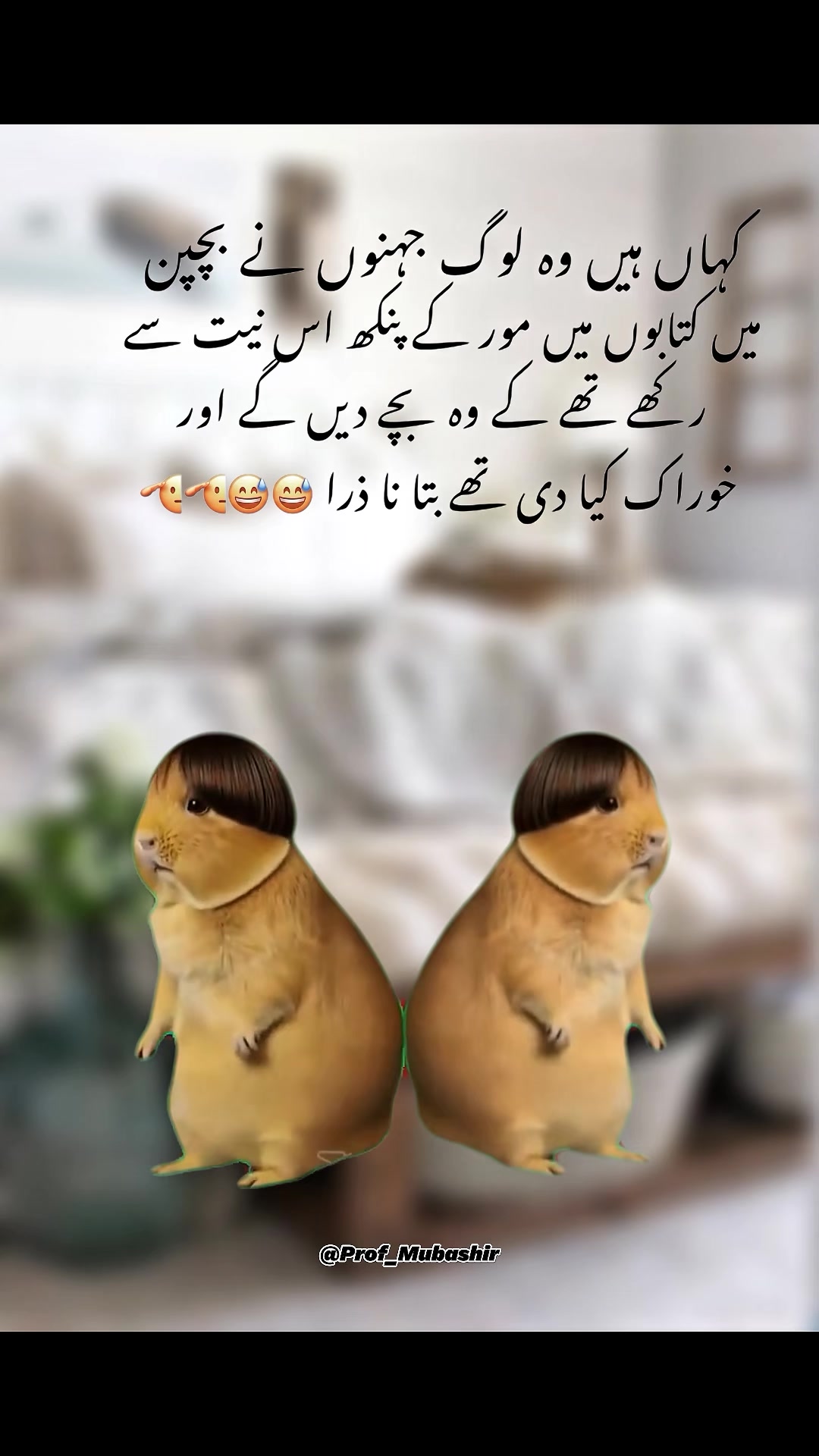 @Its๛Mubashir