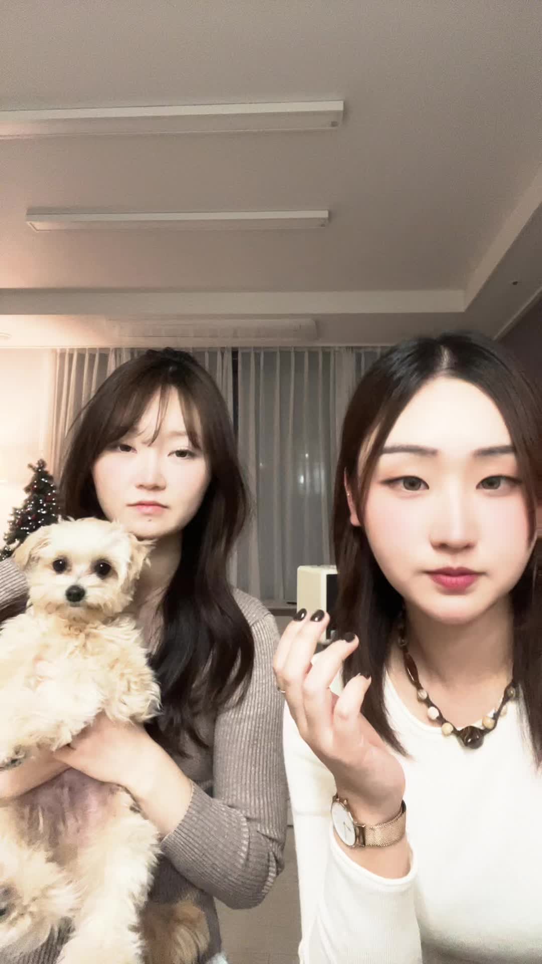 @하야포비