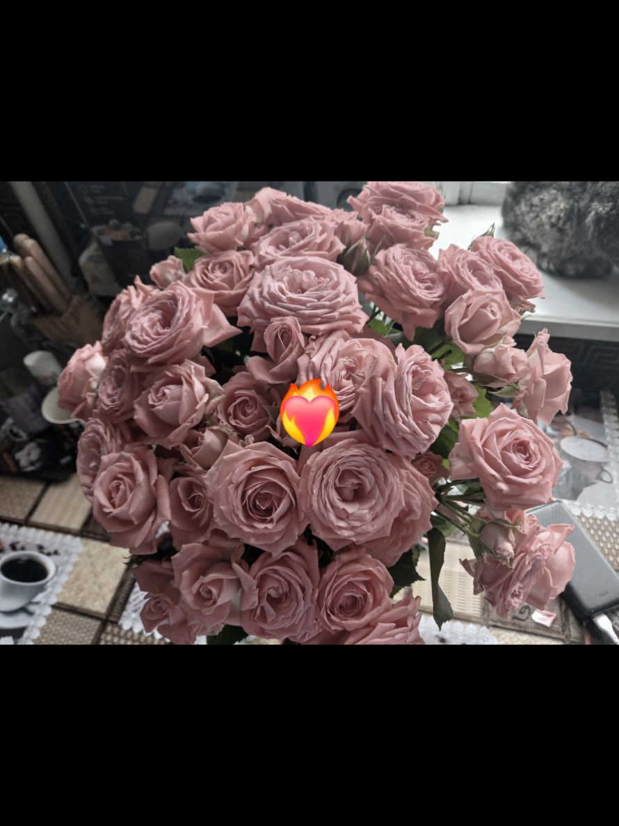 @uly.lx