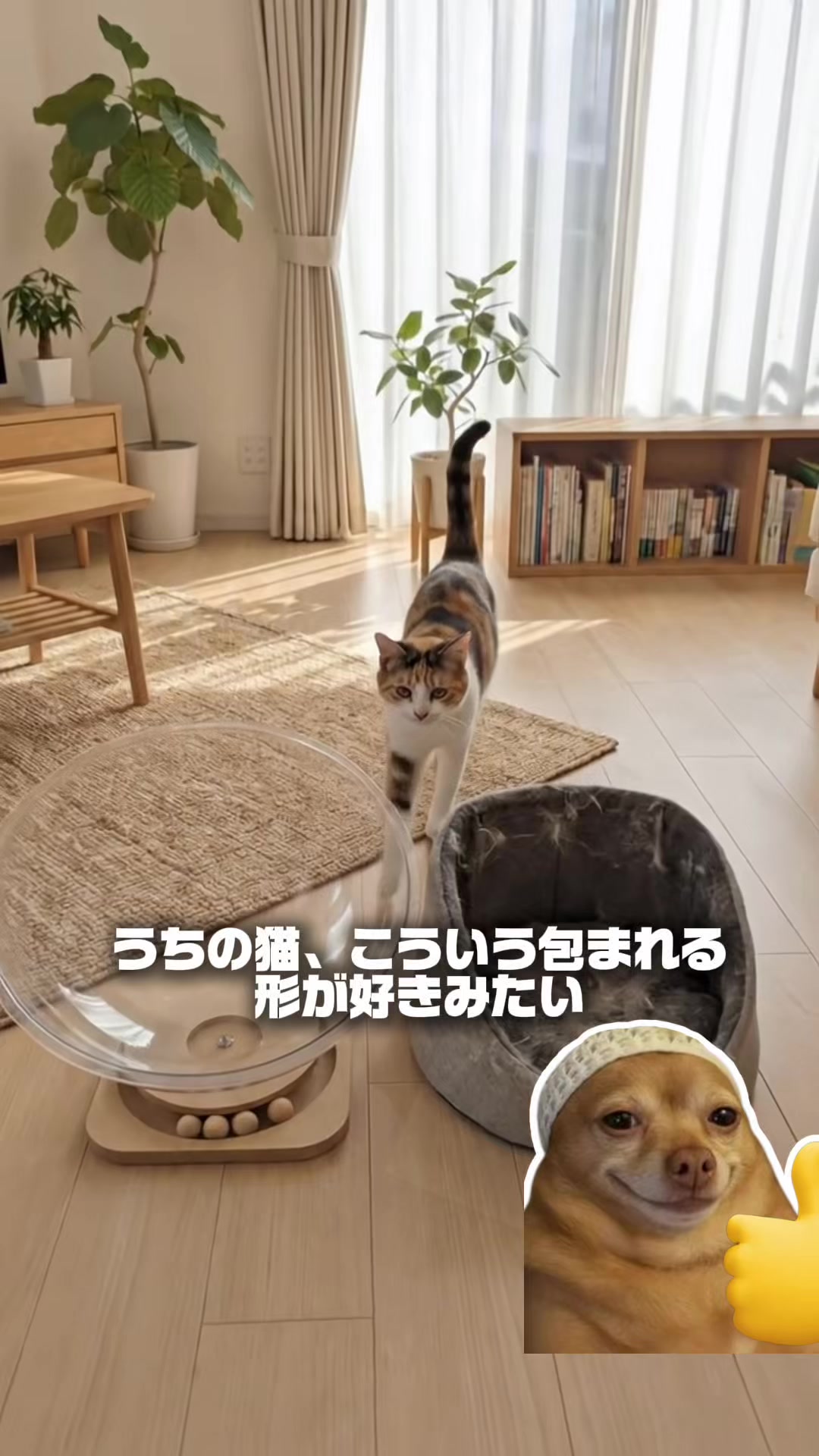 @ゆりのくらしノート