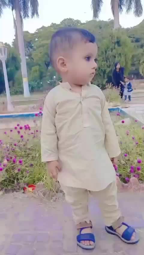 @tanzeelaimran