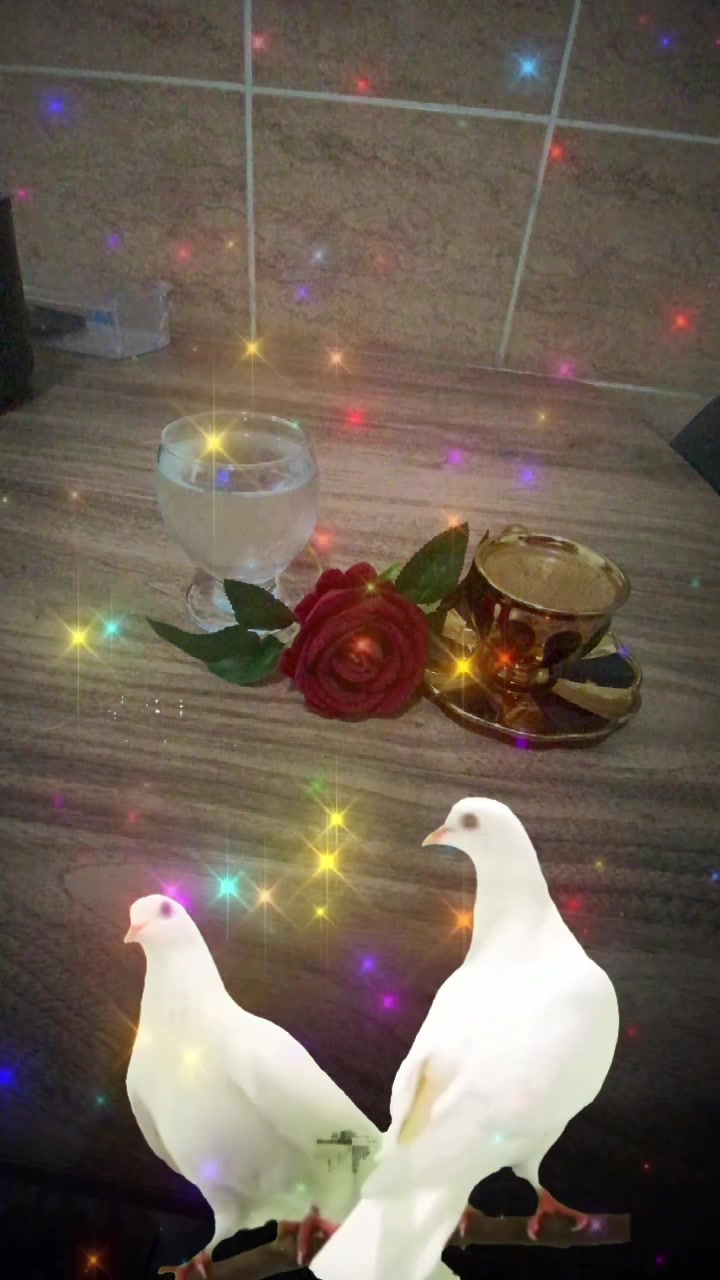 @Nur Şam ❤️❤️