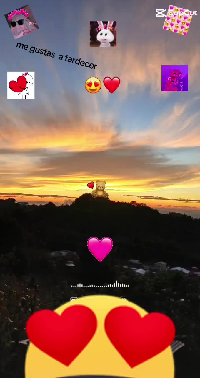 @yeli gomez