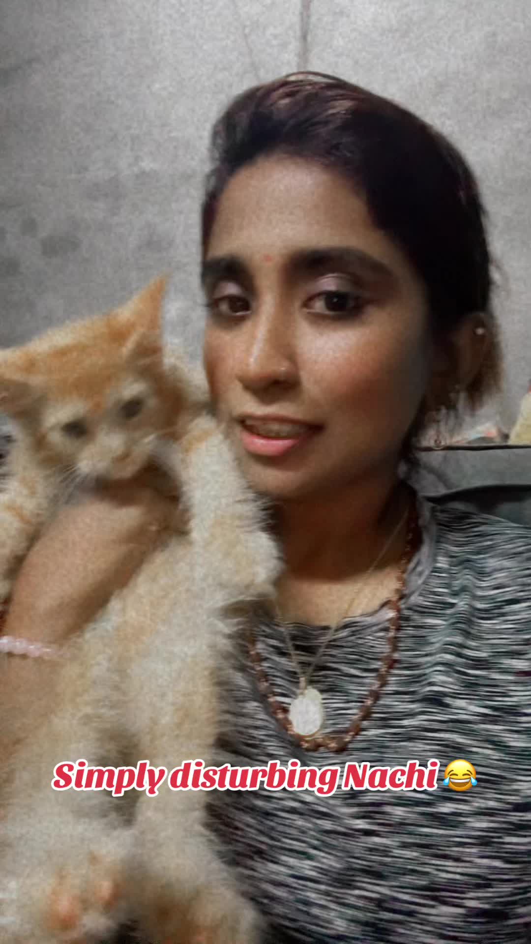 @Daachu - Sheni Petz Home