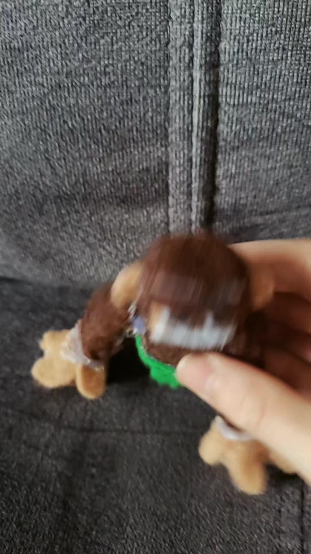 @Giganotosaurus