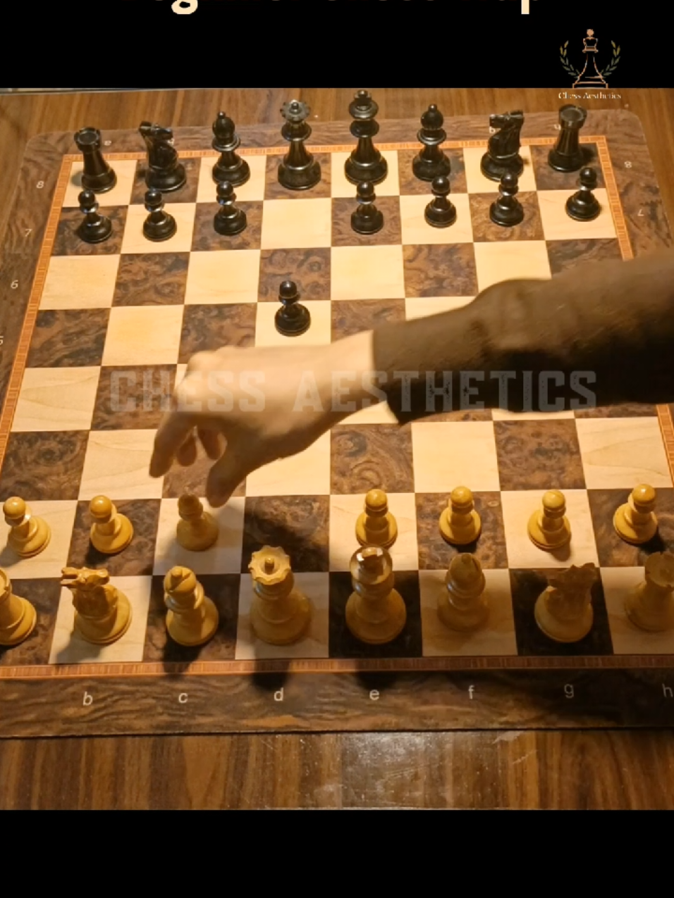 @Chess Aesthetics