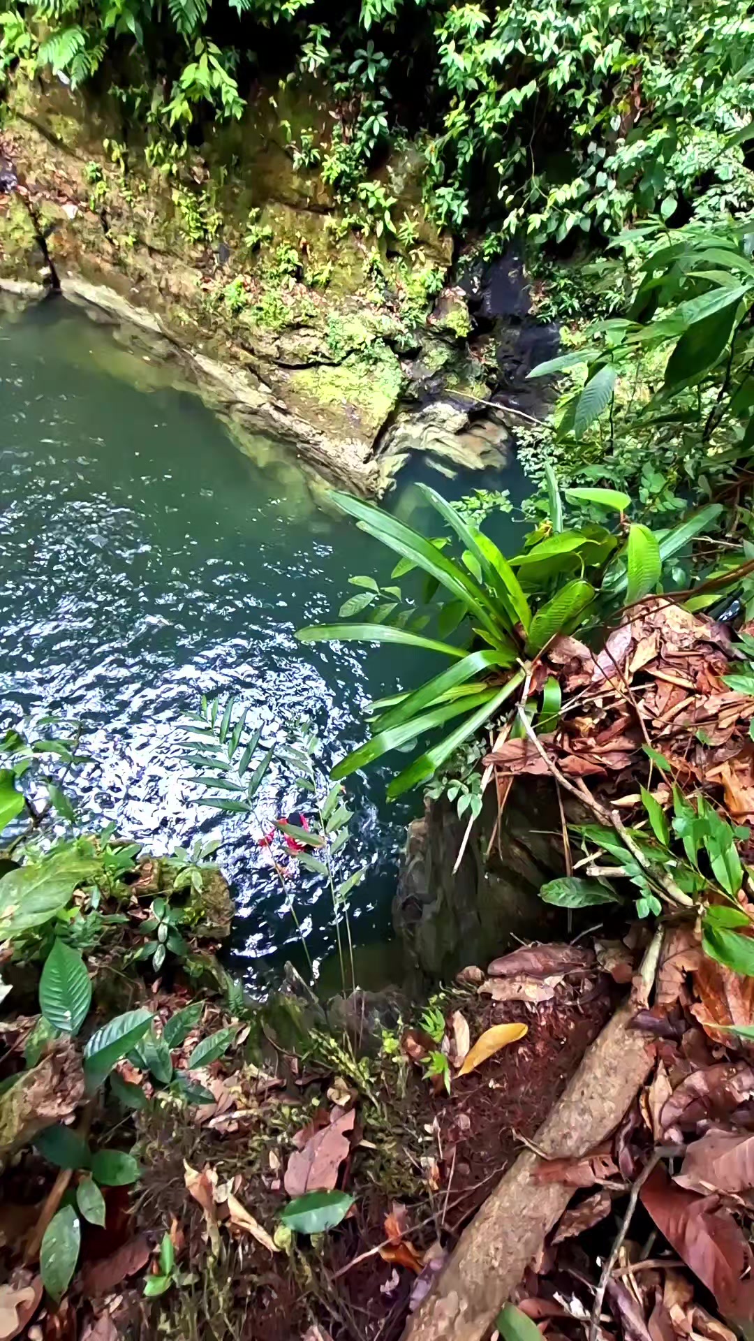 @HikeLife Adventures