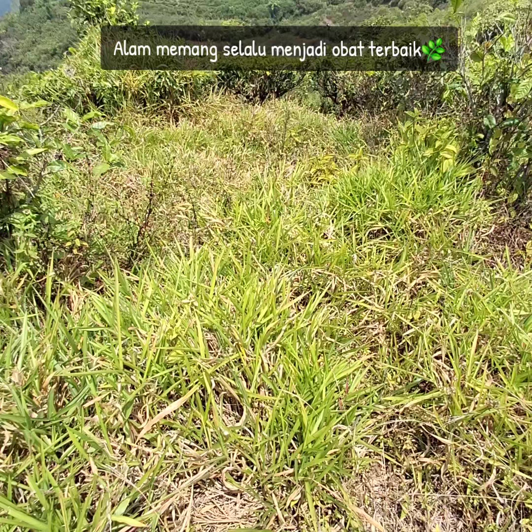 @AiKha_Garut