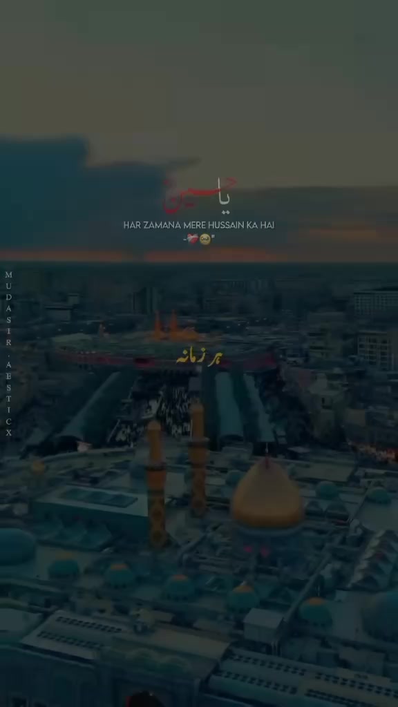 @کنگ 👑 زین علی بھون 👑 کنگ 👑