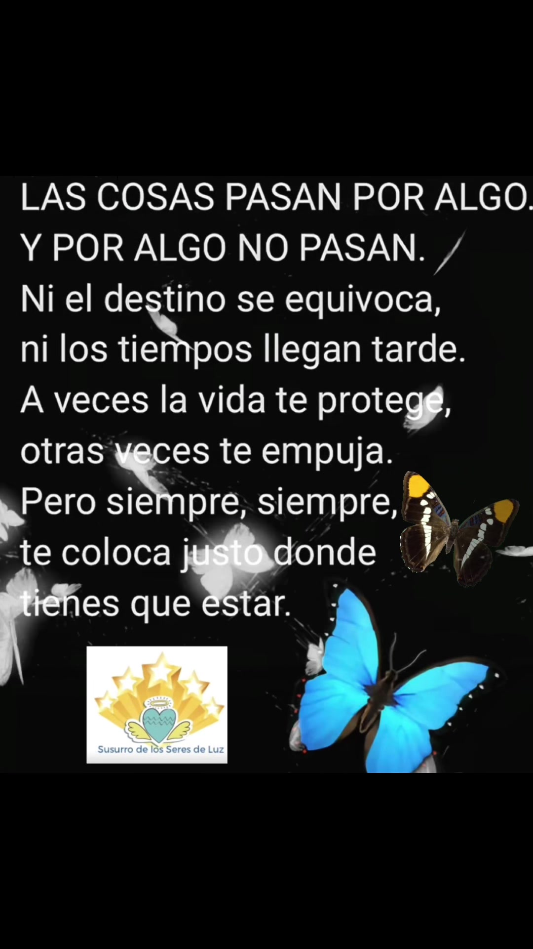 @ElizaBeth🧿Terapeuta & Coach🪽