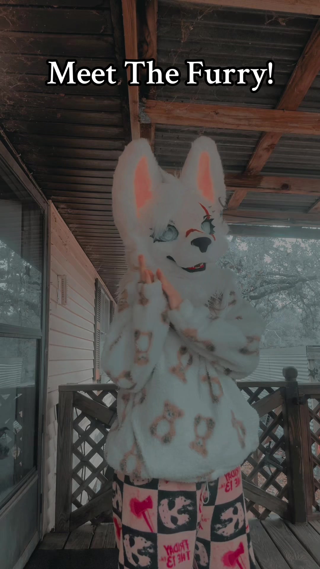 @⋆.˚🍃 ɪɴᴅɪᴄᴀ 🍃˚.⋆