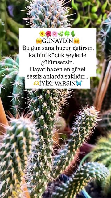 @☙❤️Ⓑⓘⓩⓘⓜ ⓚıⓩ❤️☙