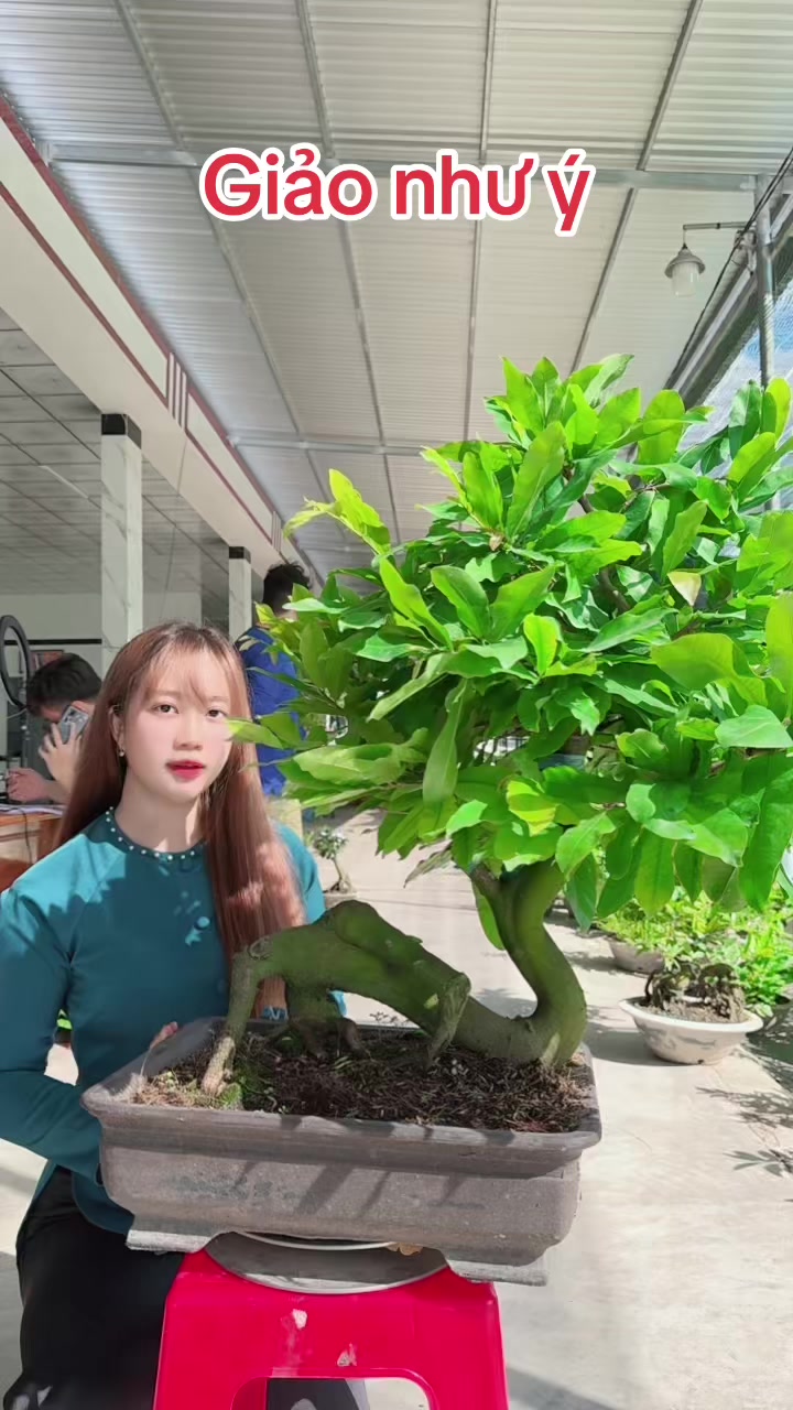 @Chichchoebong79