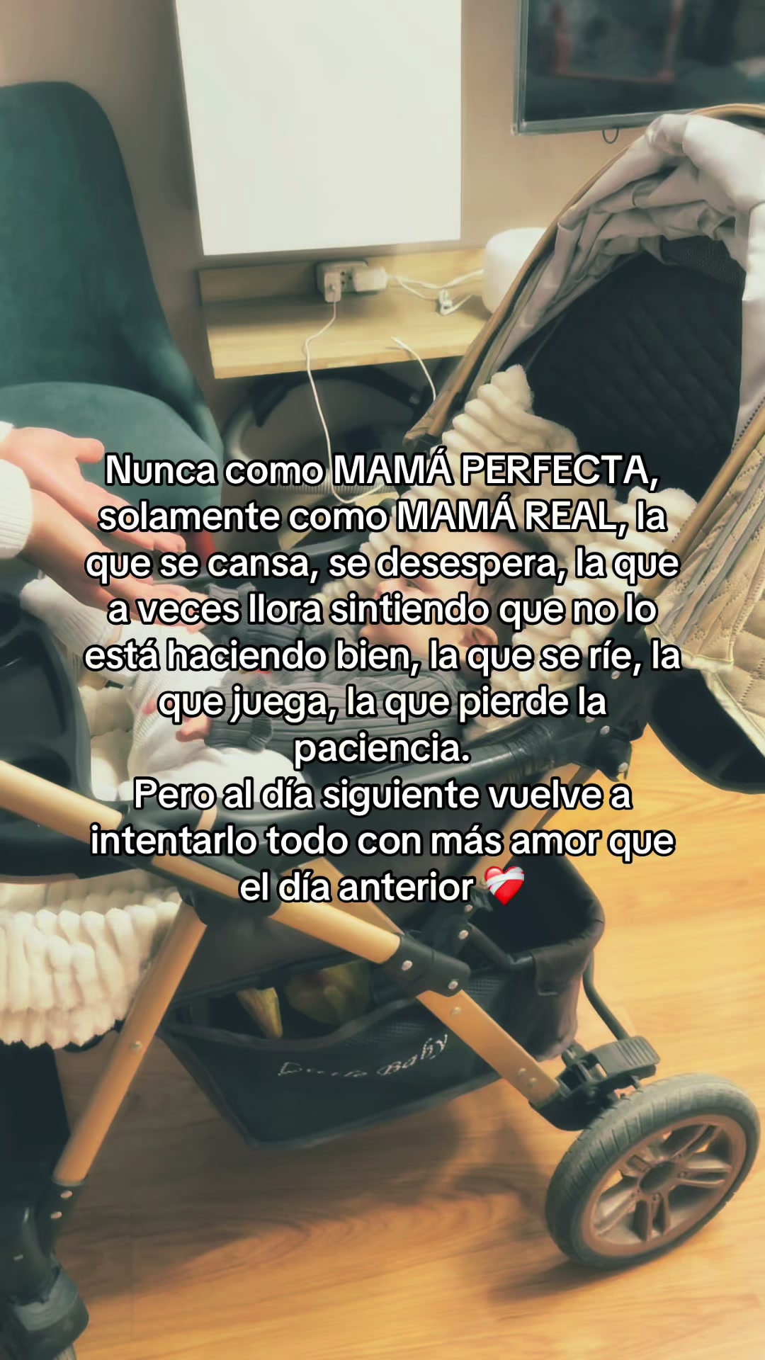 @Masani 💗🐼