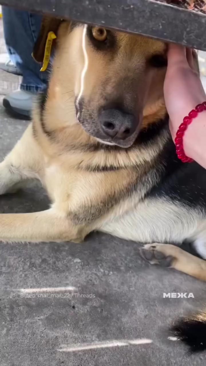 @МЕЖА