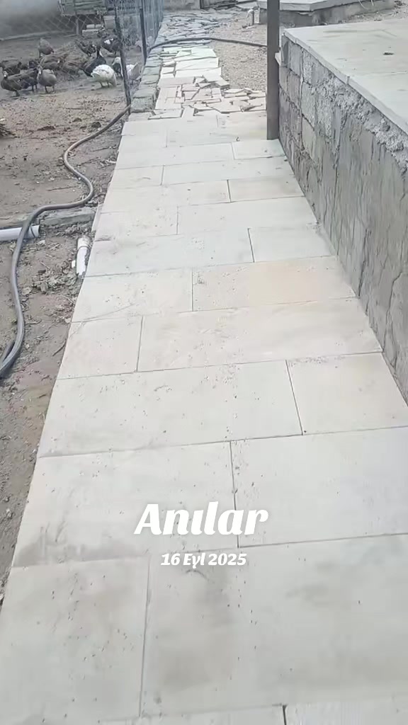 @MAŞTAĞA_QUŞCULUĞ